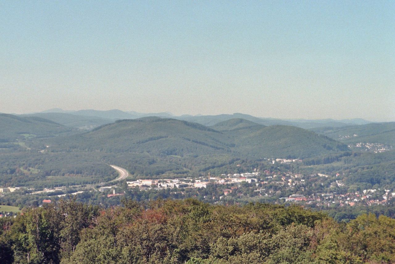 Wienerwald (© Dr. Michael Götzinger)